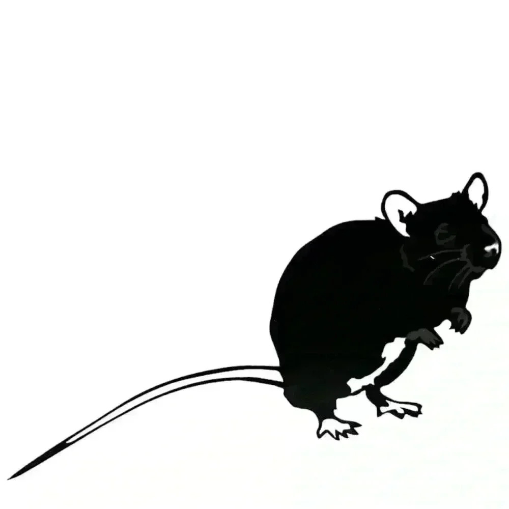 Rat sticker / decal
